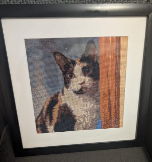 Customer photo review of Custom Diamond Painting Kits
