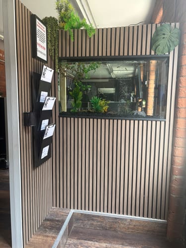 Customer's Acoustic Slatted Wall Panels creating a feature wall with a built-in fish tank in their tattoo studio.