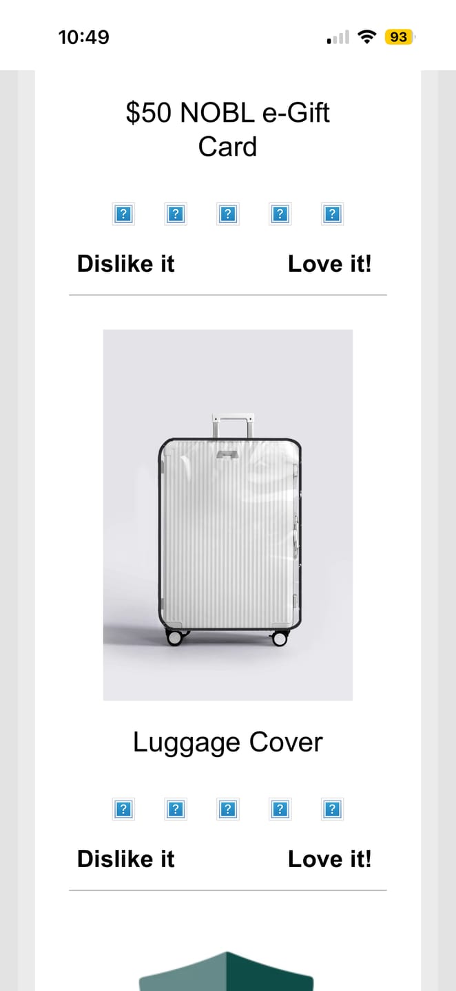 Customer photo review of Luggage Cover