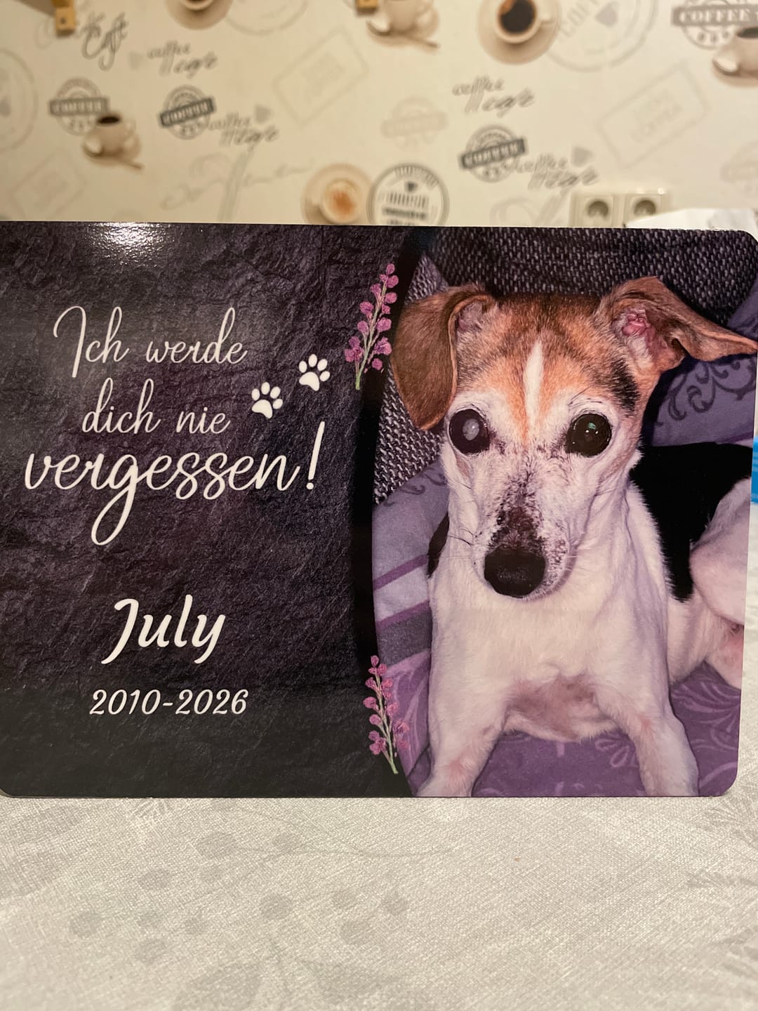 Customer photo review of Hunde Gedenktafel mit Foto & Spruch (UV- & Wetterfest)