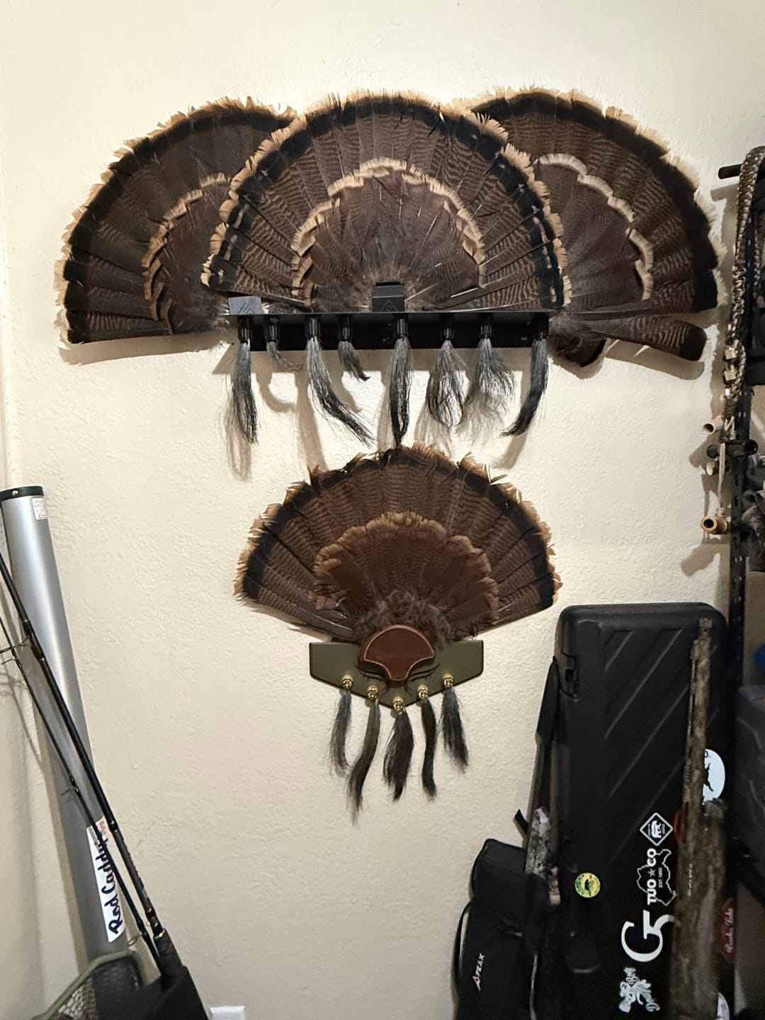 Customer photo review of Beard Shelf | Turkey Beard/Leg/Fan System