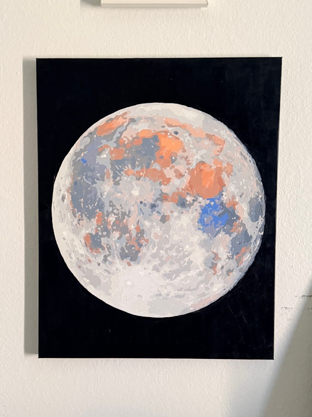 Customer photo review of Custom Paint by Numbers Kit