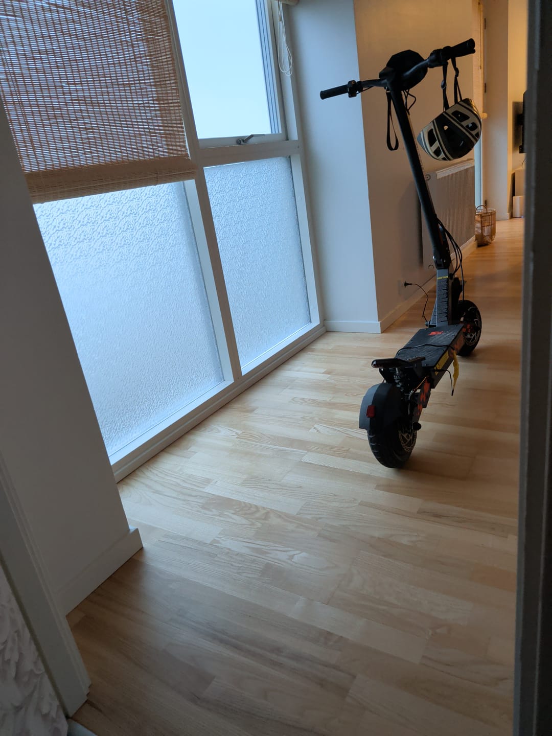 Customer photo review of KuKirin (Kugoo) G2 Electric Scooter 2026 Version