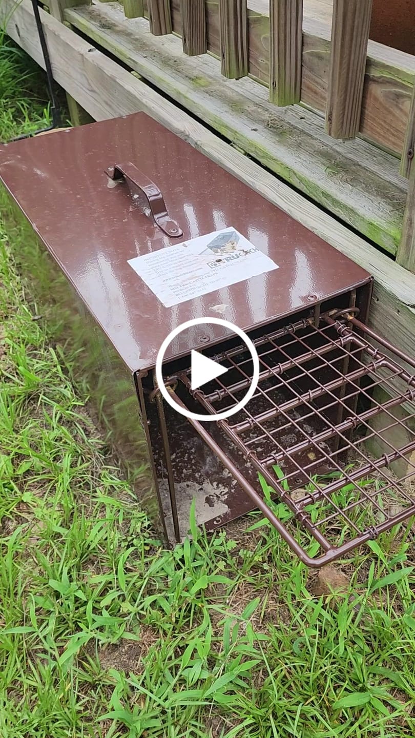 Customer video review of Forestry Supplies TruCatch™ Skunk and Armadillo Trap