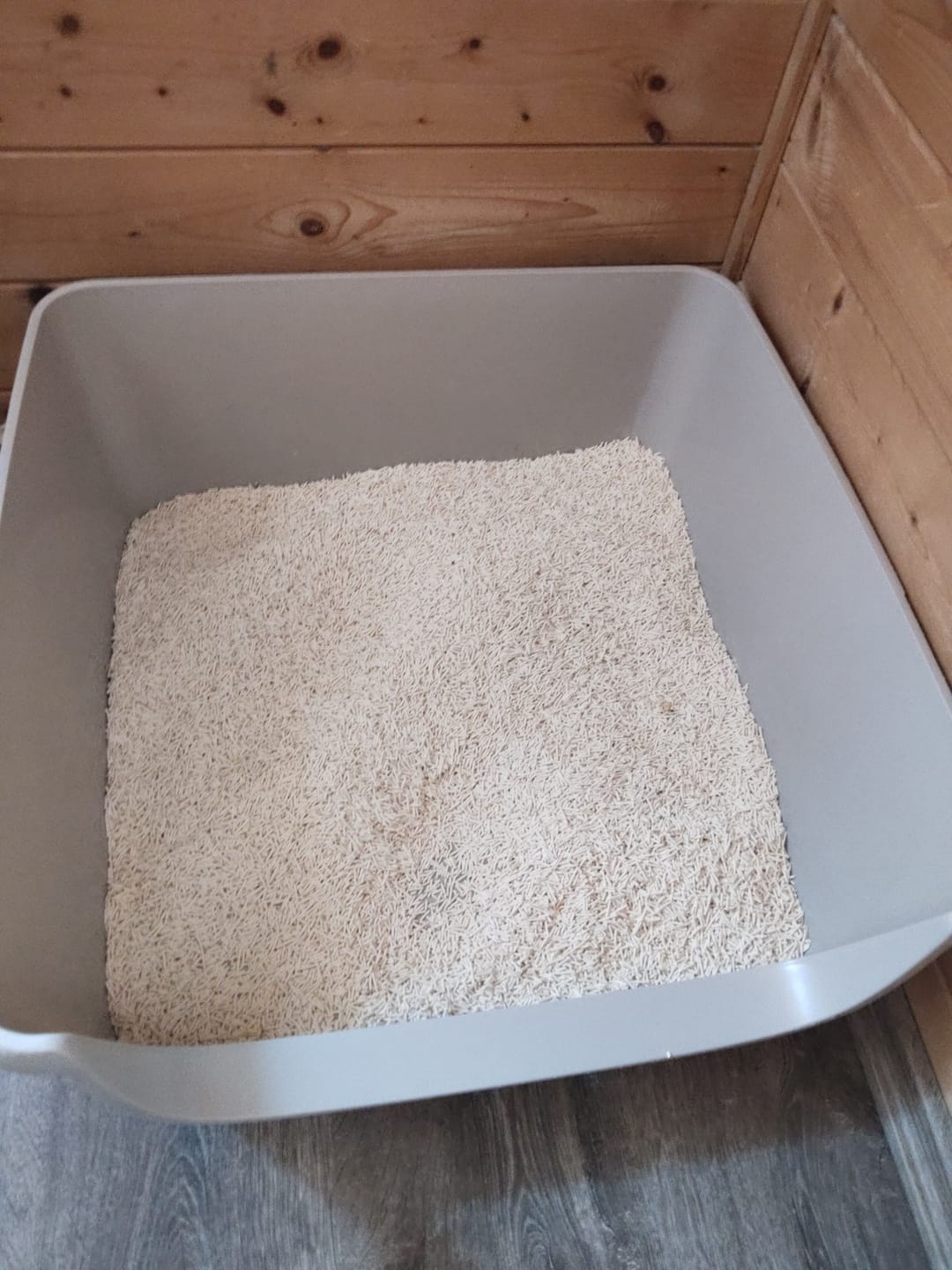 Customer photo review of Naturreines Katzenstreu