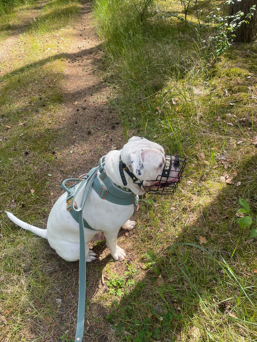 Customer photo review of Guard Leash Rose Edition Pastel Green - Väktarkoppel med extra handtag
