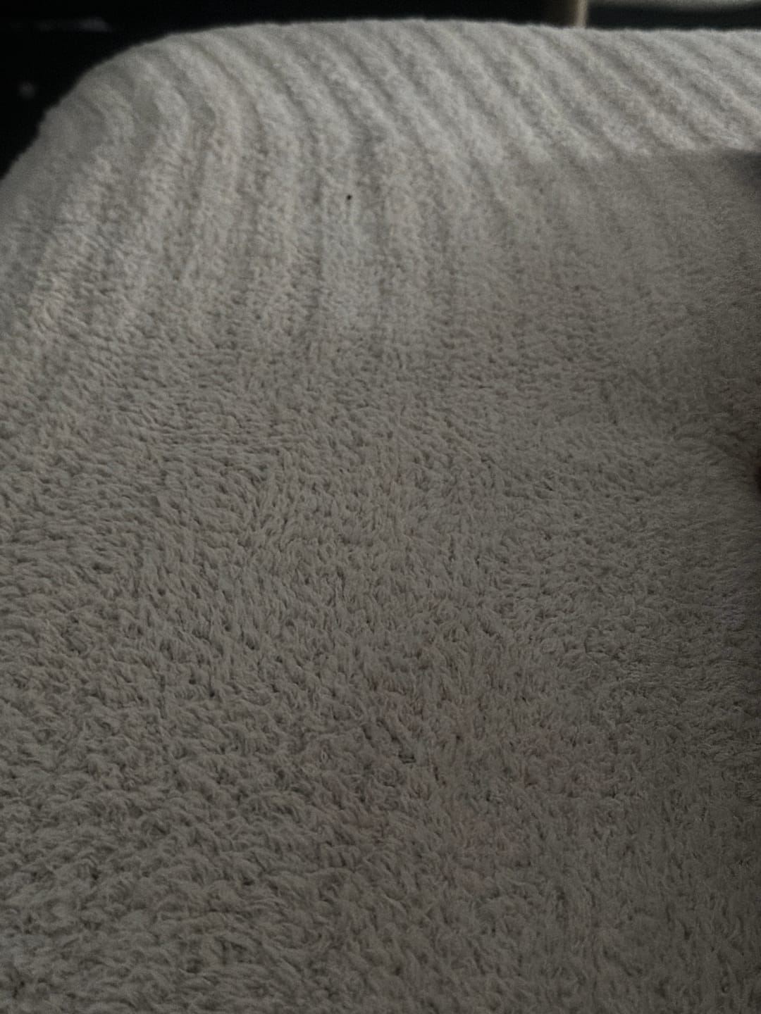 Customer photo review of Blushing Beige Ribbed King Sized Bed Blanket