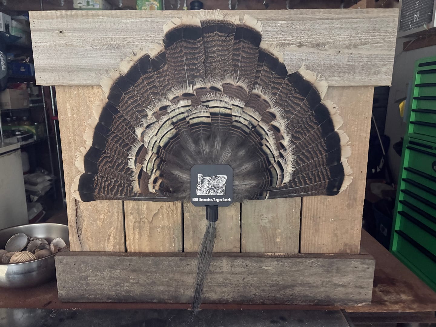 Customer photo review of BeardLok | Turkey Beard Clip