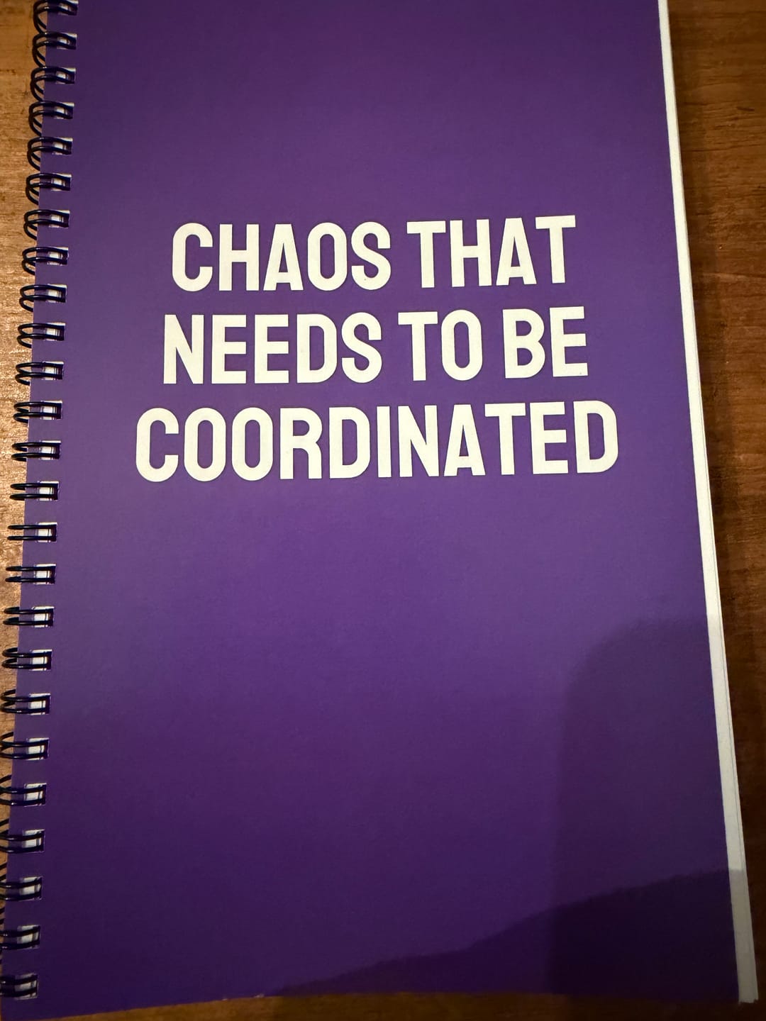 Customer photo review of Chaos That Needs To Be Coordinated Notebook
