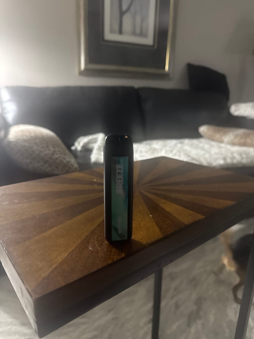 Customer photo review of Breeze Pro Disposable Vape