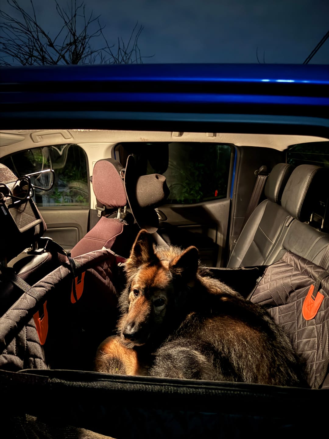Customer photo review of Companion&Co™ Hard Bottom Single Seat Cover