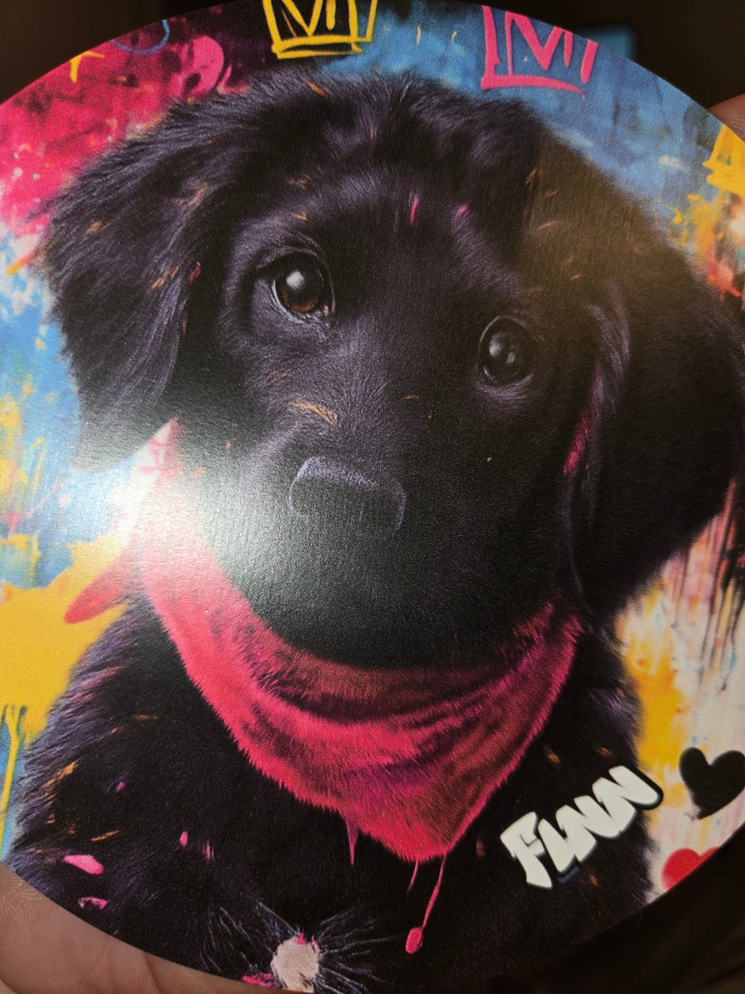 Customer photo review of Graffiti - Personalized Car Magnet