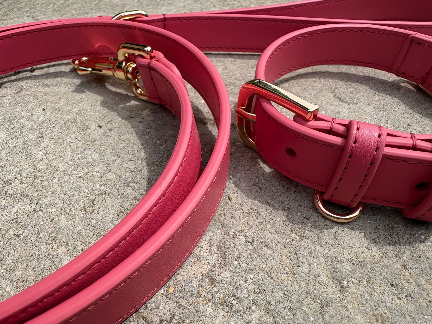 Customer photo review of Rose Dog Lead