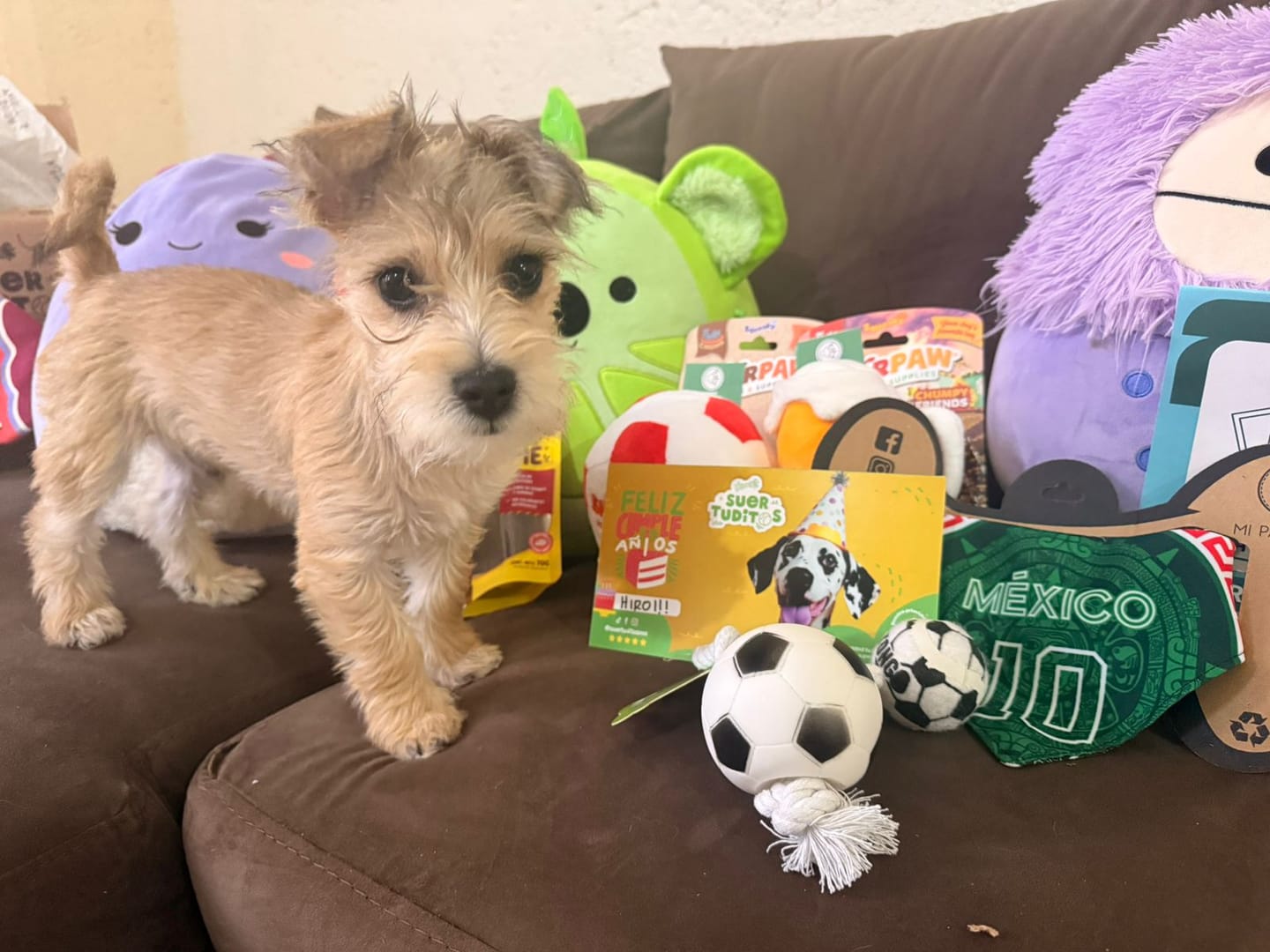 Customer photo review of Suertuditos BOX