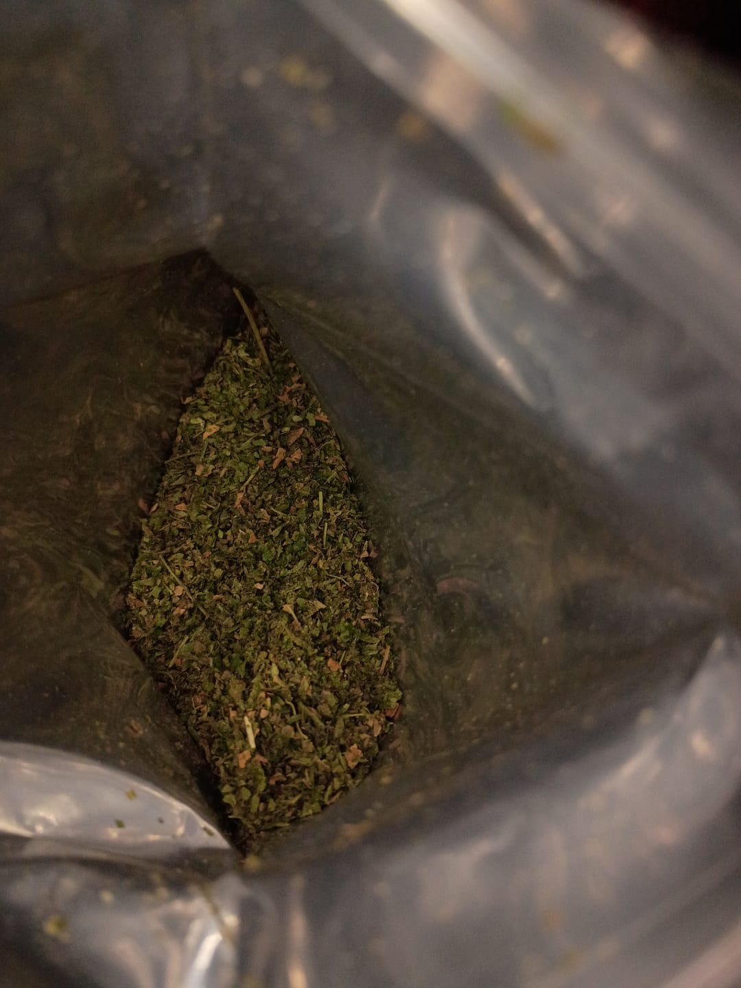Customer photo review of Candy Gas Shake