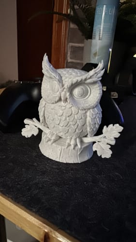 Customer photo review of Anycubic Kobra X