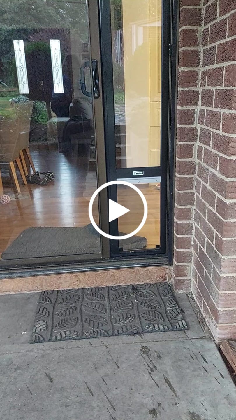 Customer video review of Pet Door Insert – Large