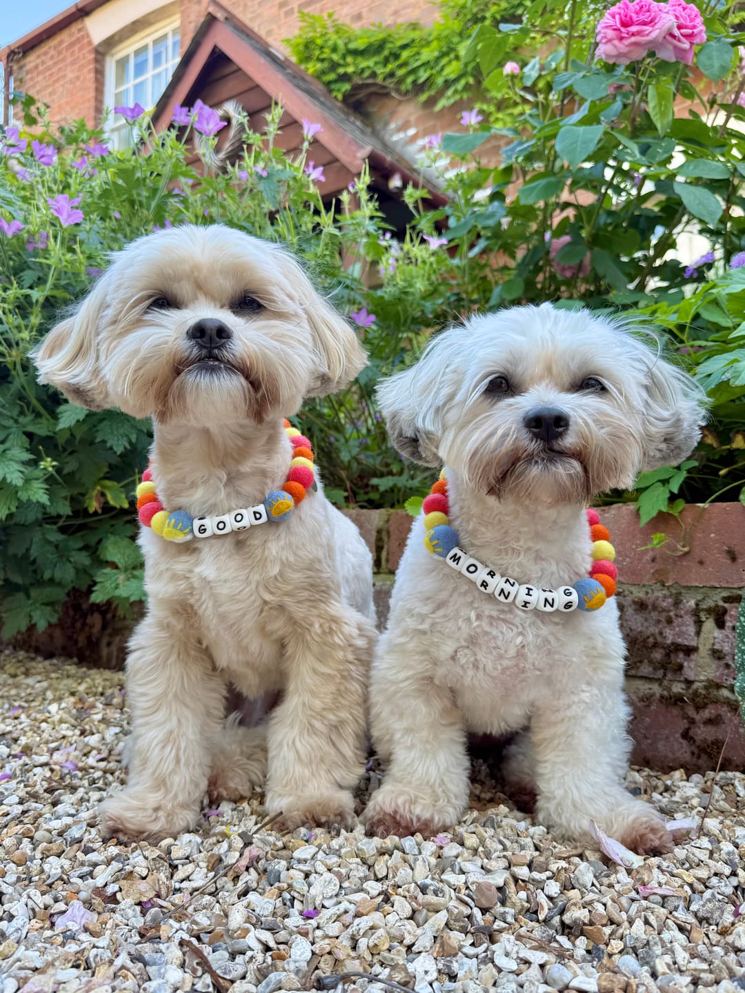 Customer photo review of Alphabet Pom Pom Collar