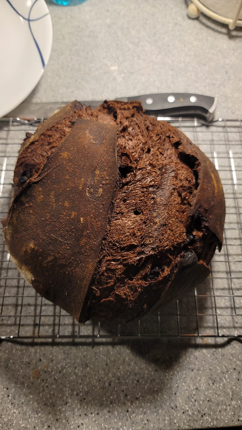Customer photo review of Live 119 Year Old Valrhona CHOCOLATE Sourdough Starter Includes Maintenance PDF & Chocolate Noir Loaf Recipe