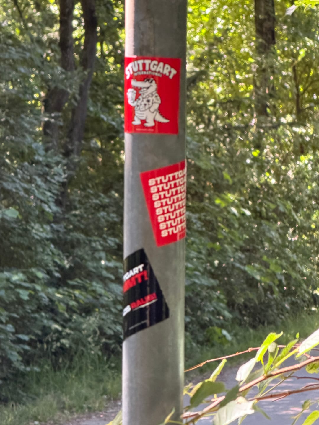 Customer photo review of Stuttgart Sticker 'International Kroko'
