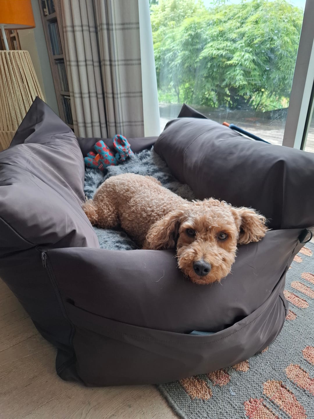Customer photo review of Travel Dog Pod XL - Now With Isofix