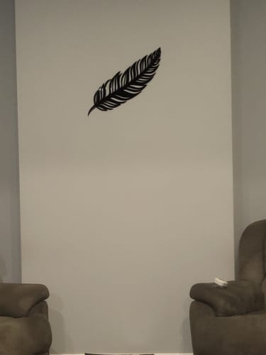Customer photo review of Simple Feather Wall Art