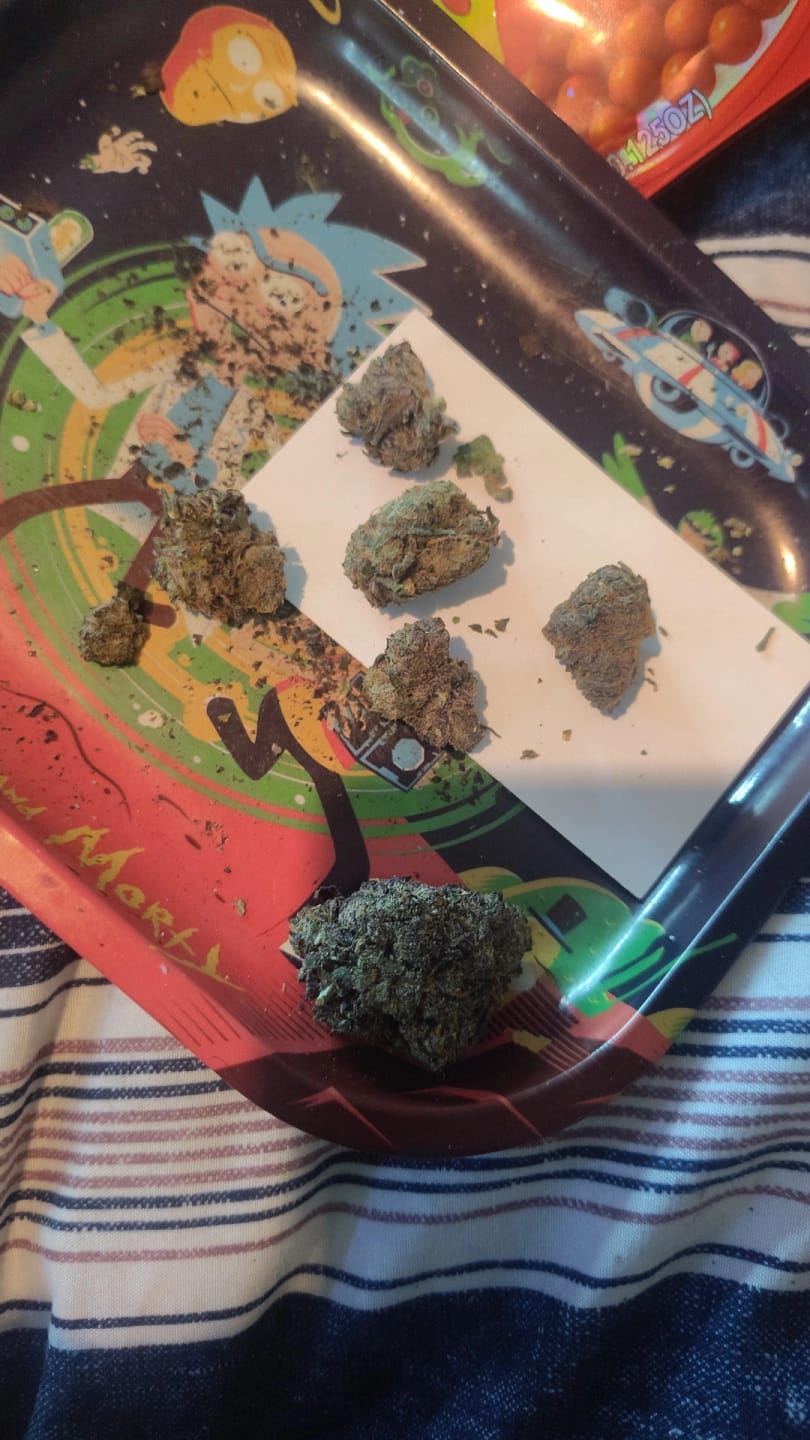 Customer photo review of OG Kush THCA Flower