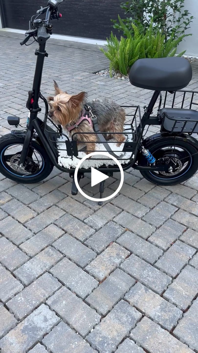 Customer video review of Gyroor C1Plus Padded Basket Insert for Pets