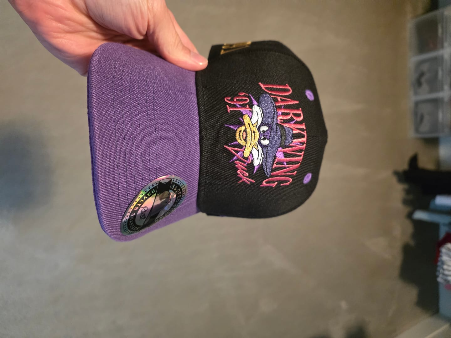 Customer photo review of Disney’s Darkwing Duck "Let's Get Dangerous!" – TLB Hat