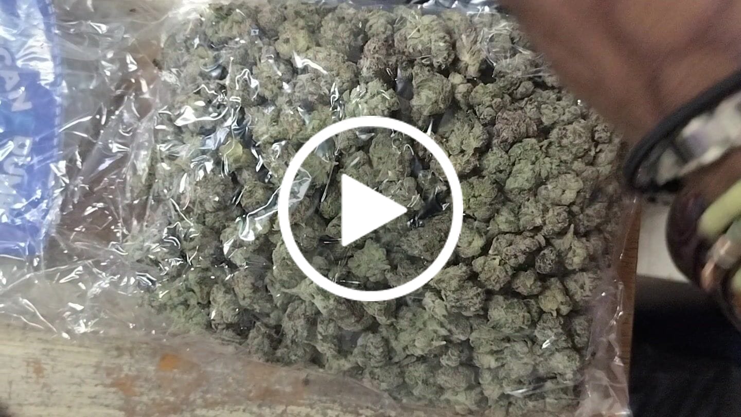 Customer video review of Boutique Exotics Lemon Dior - Bulk - Hybrid