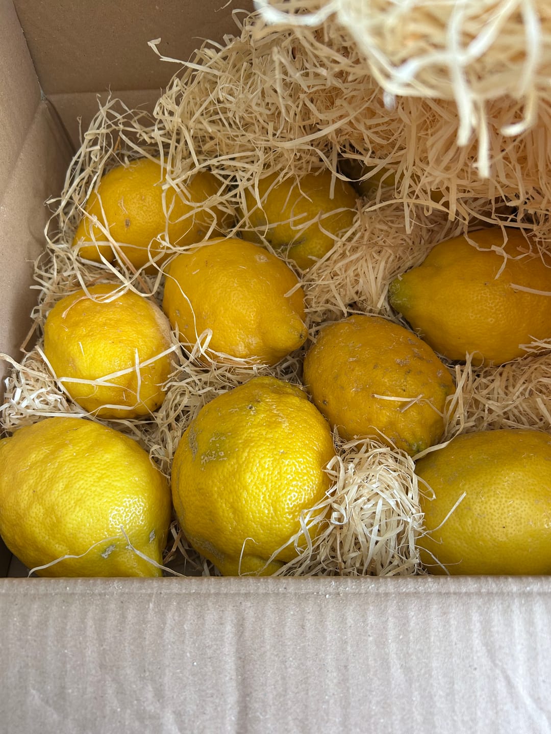 Customer photo review of Ätna Zitronen Bio aus Sizilien 4kg Box Sparpreis %