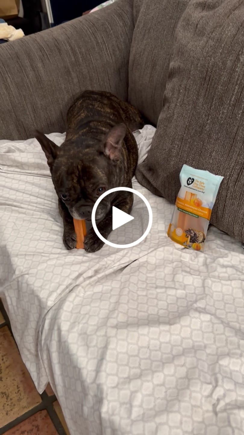 Customer video review of Pumpkin Himalayan Yak Chews | Long-Lasting Natural Dog Chew