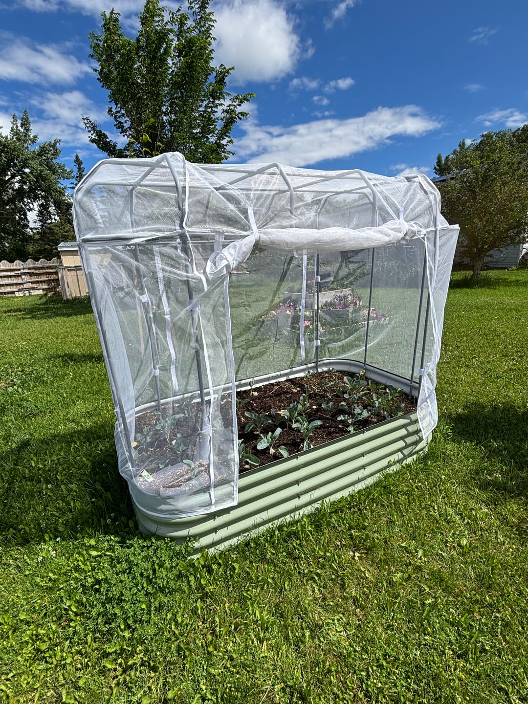 Customer photo review of Tight-Fitting Greenhouse Cover