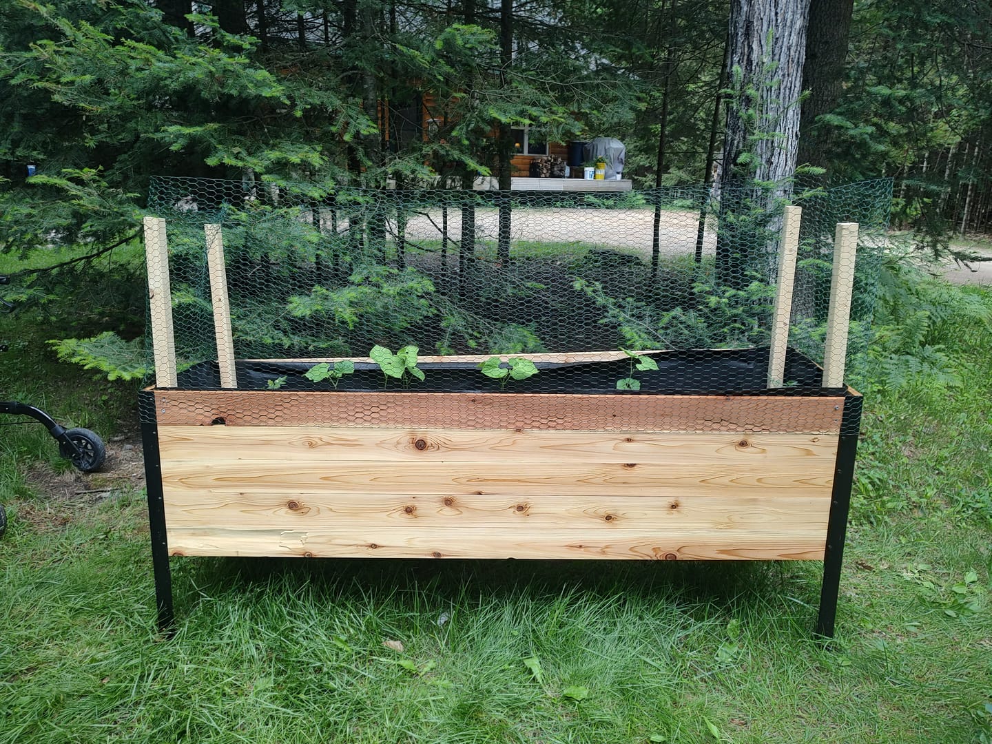 Customer photo review of 18" x 72" Raised Garden Bed - 30" TALL / Garden Grade