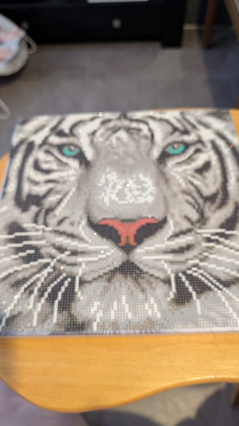 Customer photo review of Wildlife Crystal Art Mystery Box