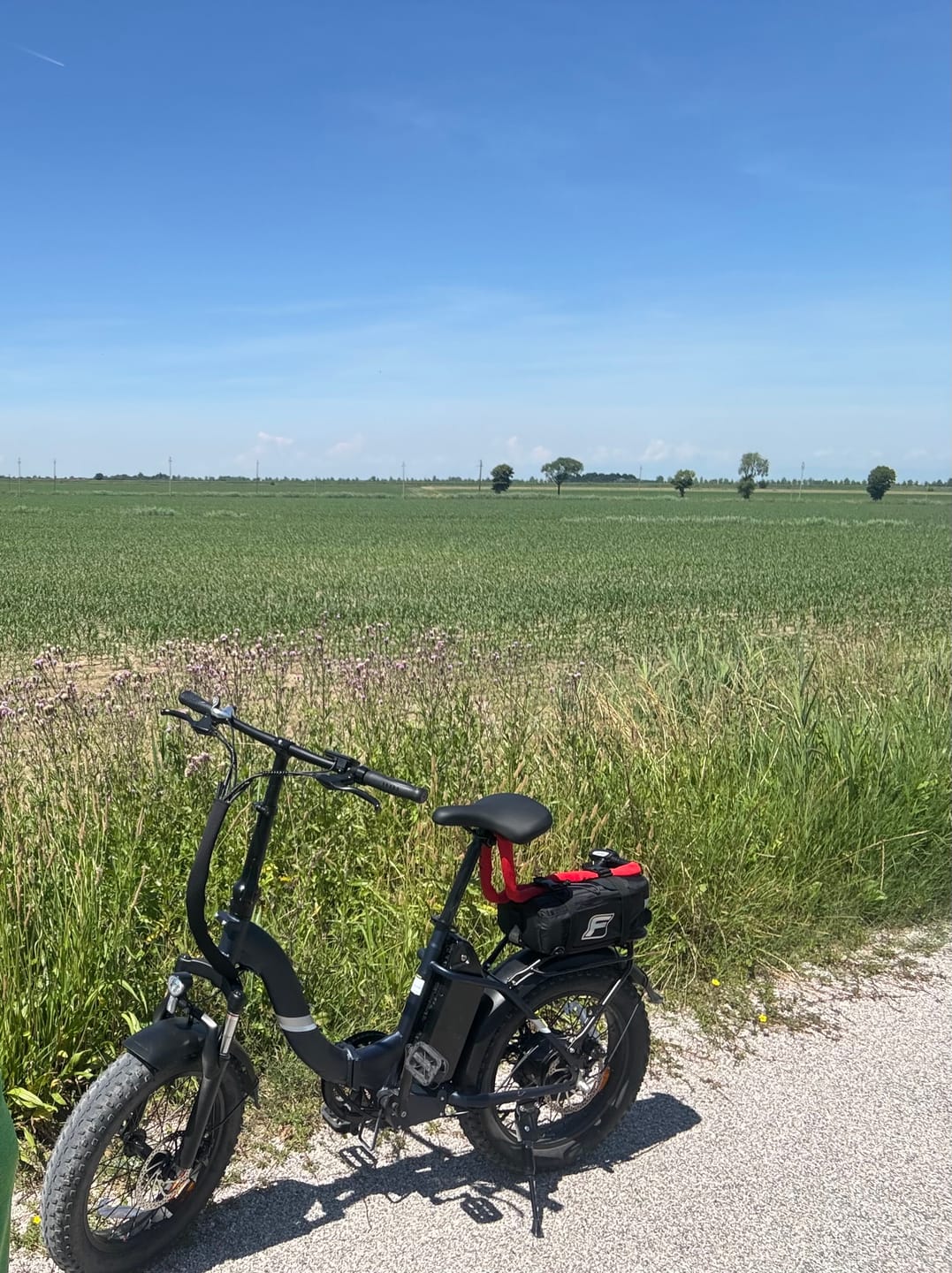 Customer photo review of Touroll S2/S2 Pro Folding Fat Tire Electric Bike