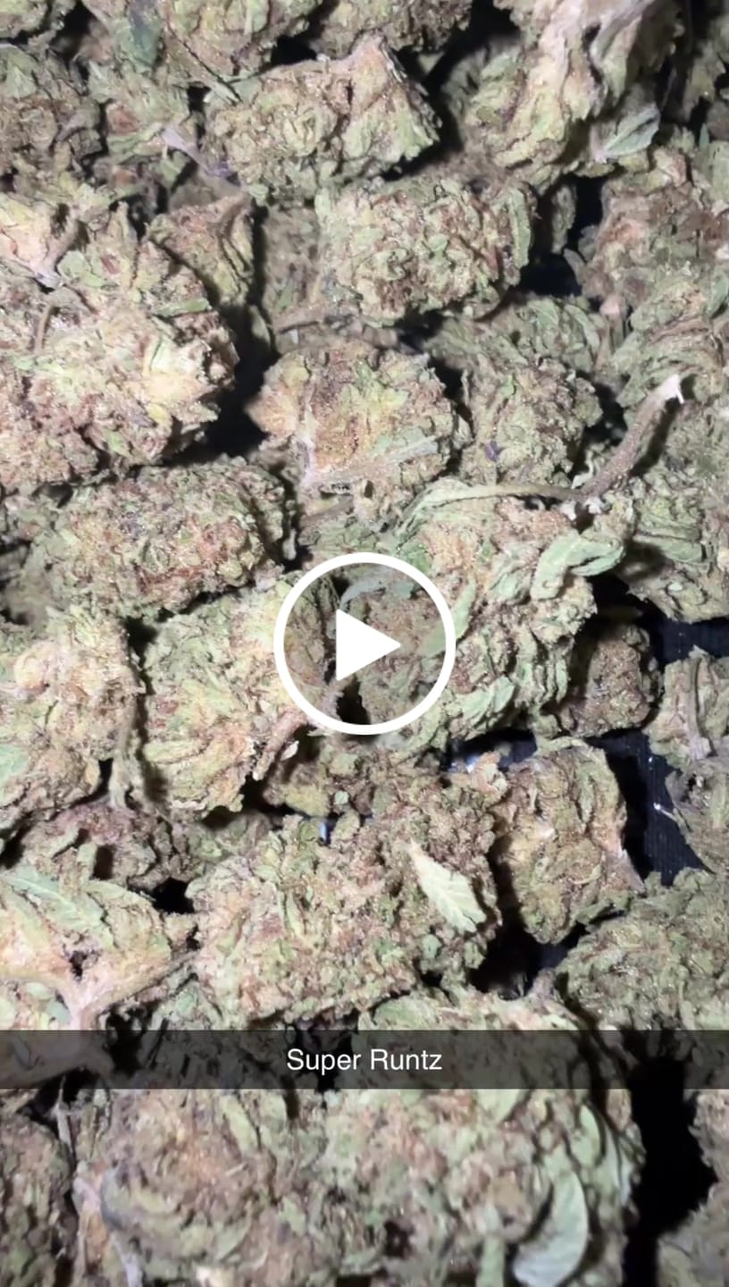 Customer video review of Pineapple Express Minis - Bulk Minis - Sativa