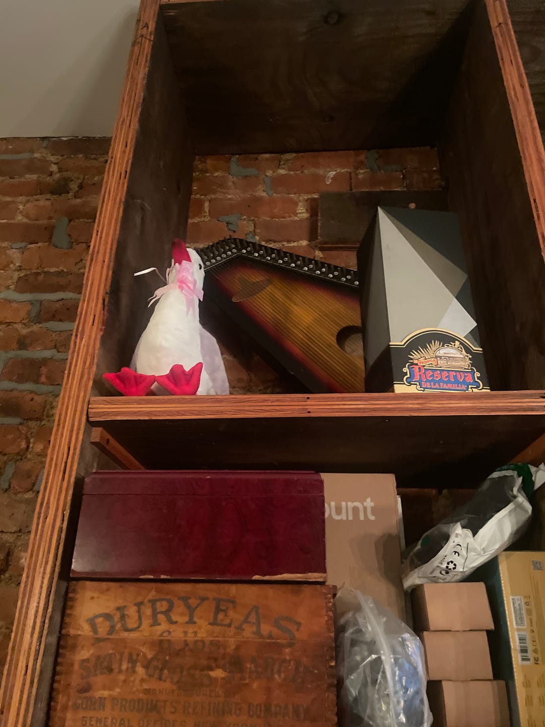 Customer photo review of Black-headed Gull Plush – Realistic and Soft Stuffed Toy for Bird Lovers