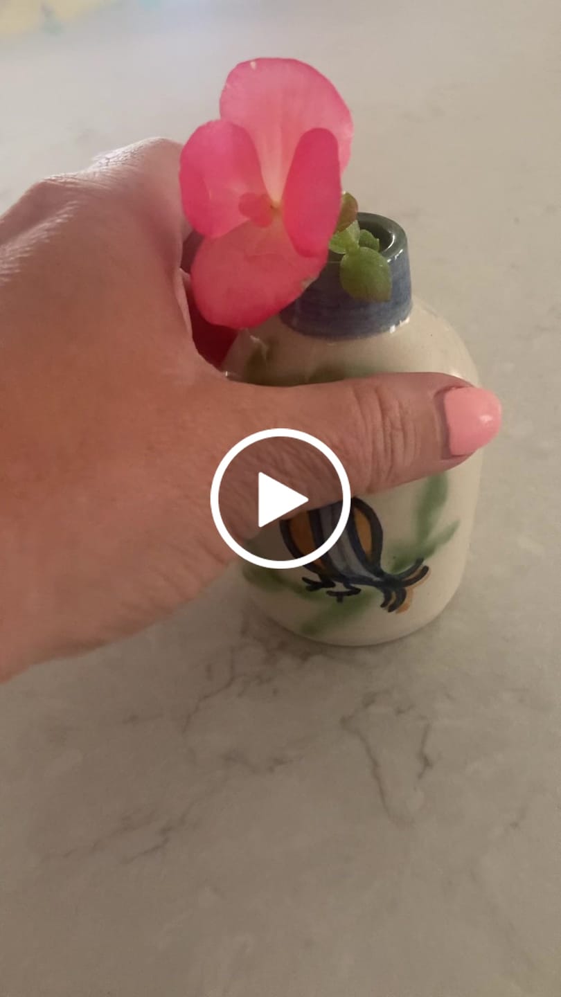 Customer video review of Perched New Bird Bud Vase