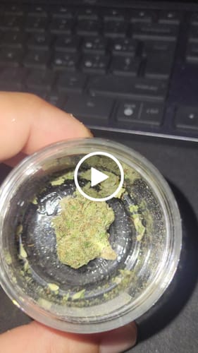 Customer video review of First Taste Bundle - 5x 3g of our bestsellers