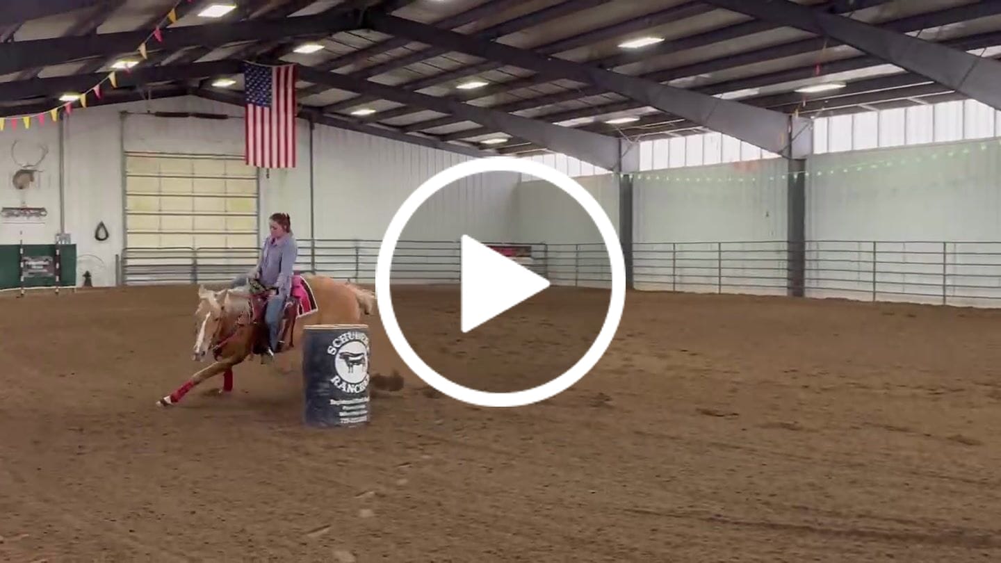 Customer video review of Renegade® Viper Shield™ Hoof Boot - Dragon Fire Red