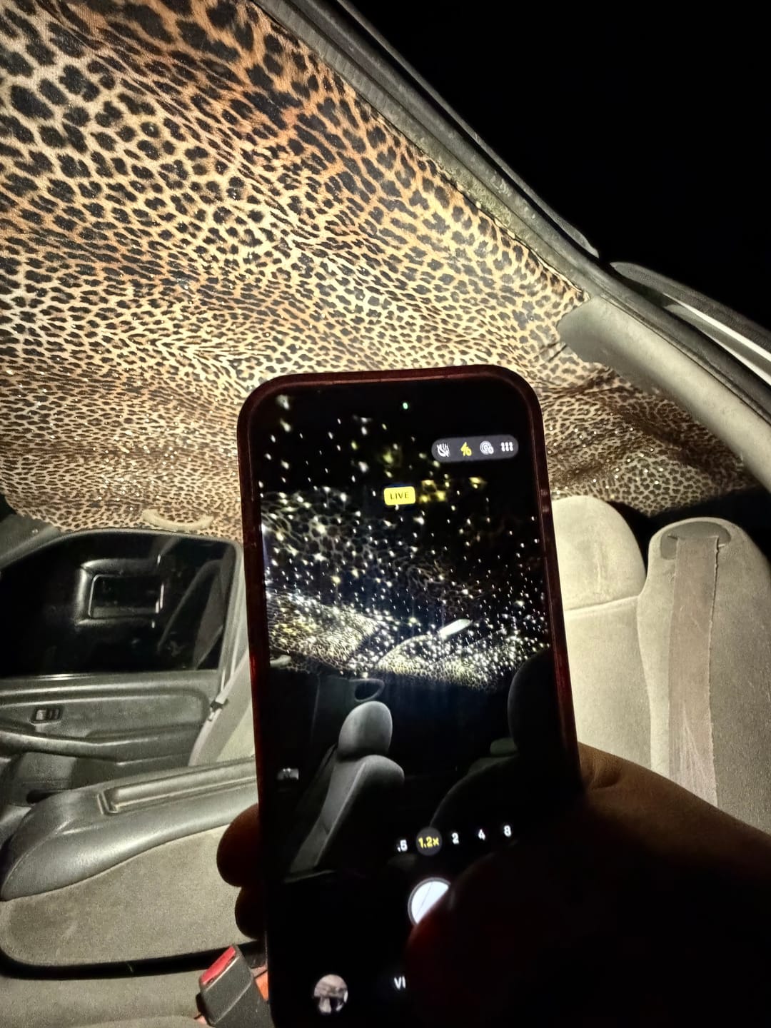 Customer photo review of Leopard Pattern Stretch Velvet Fabric