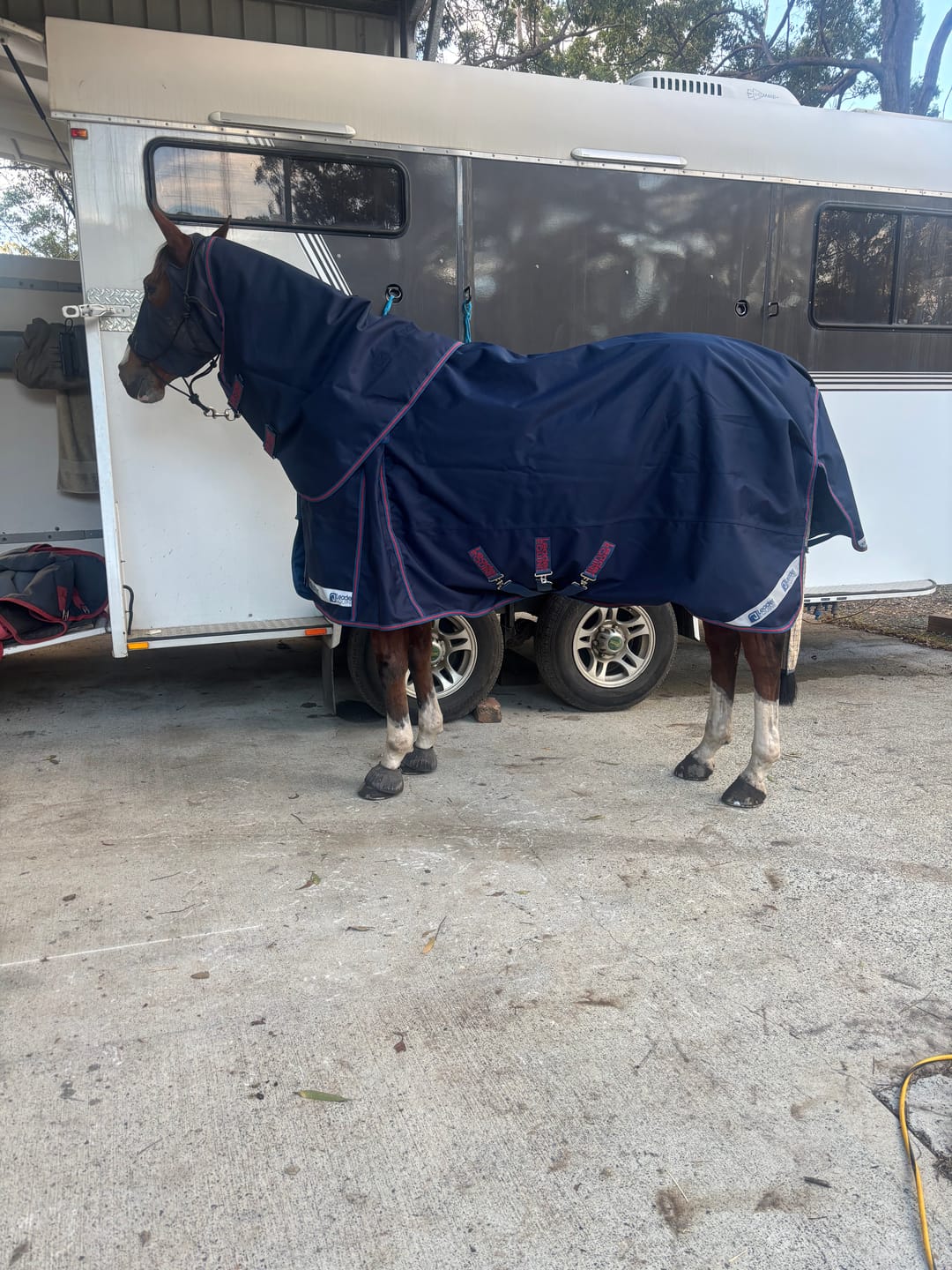 Customer photo review of LE Boxter Turnout Ripstop 0g with Fleece