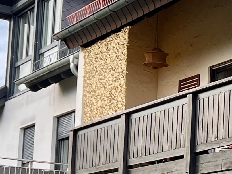 Customer photo review of Tarnnetz Beige