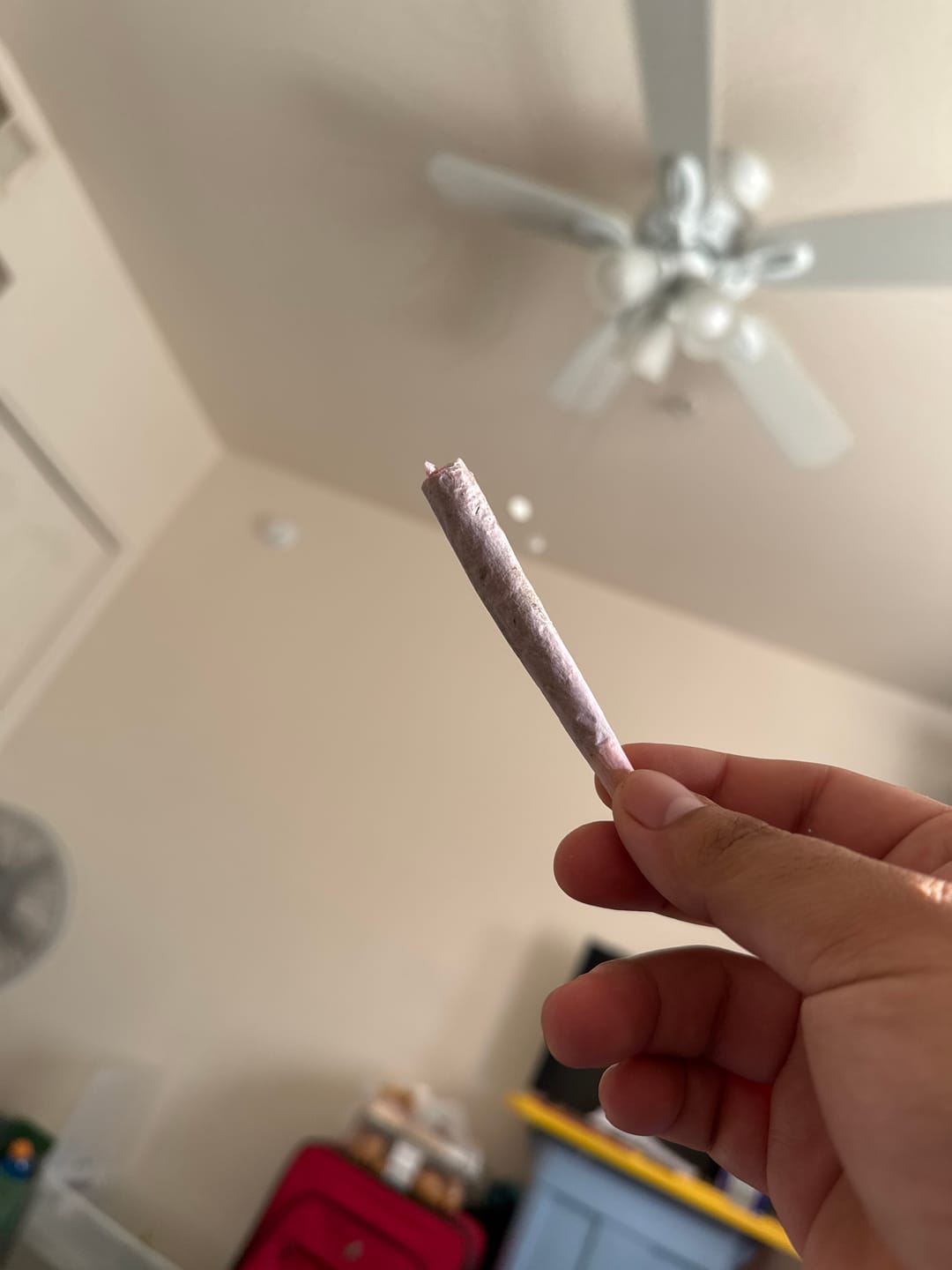 Customer photo review of Candy Runtz - Minis - 28 Grams - Hybrid