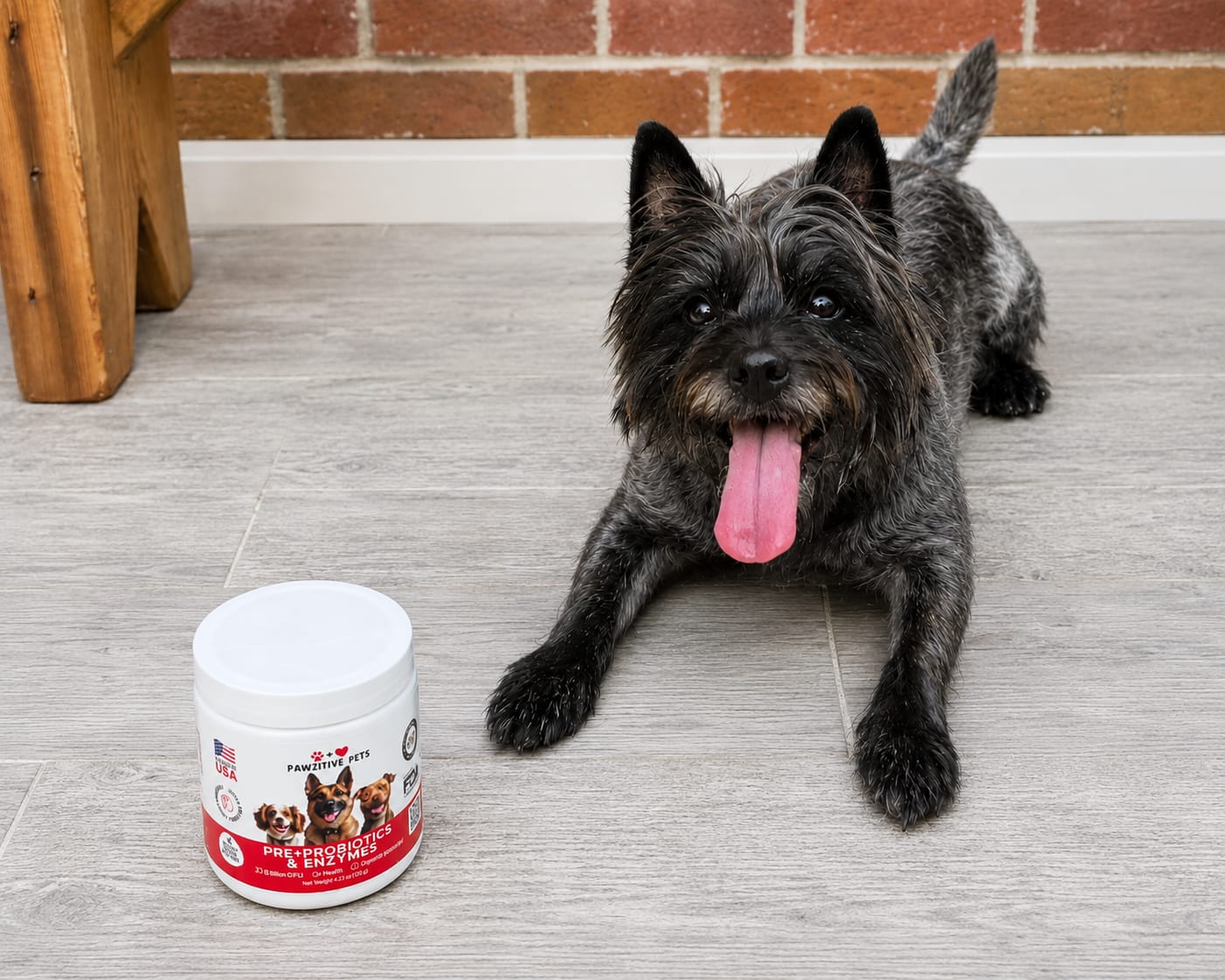 Customer photo review of Pre+Probiotics for Dogs Digestive Health – 120 Soft Chews