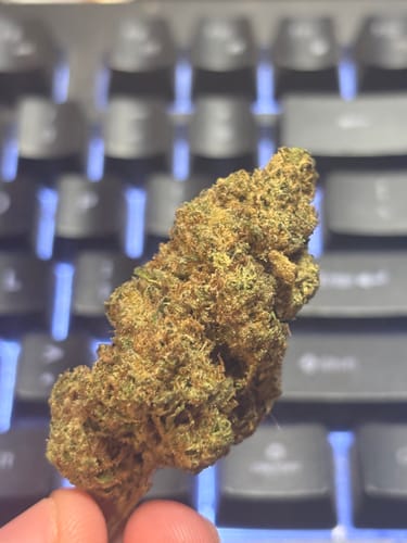 Customer photo review of THCA Queen