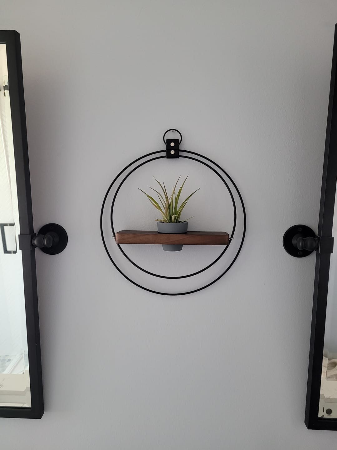 Customer photo review of Air Plant Shelf + Pot Duo