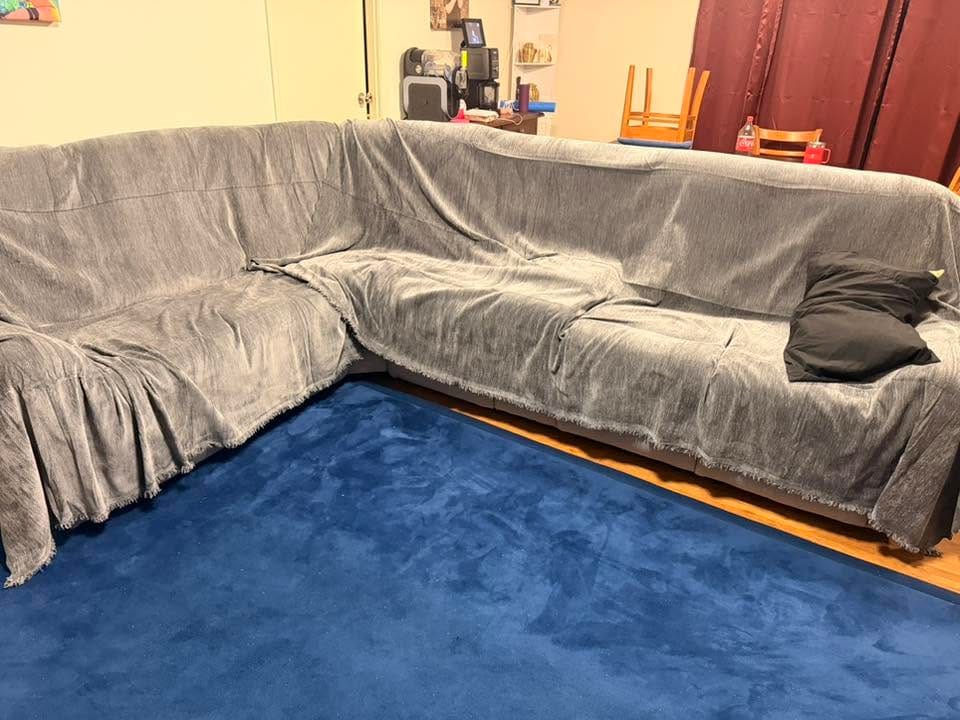 Customer photo review of CouchCare™️ Couch Protector