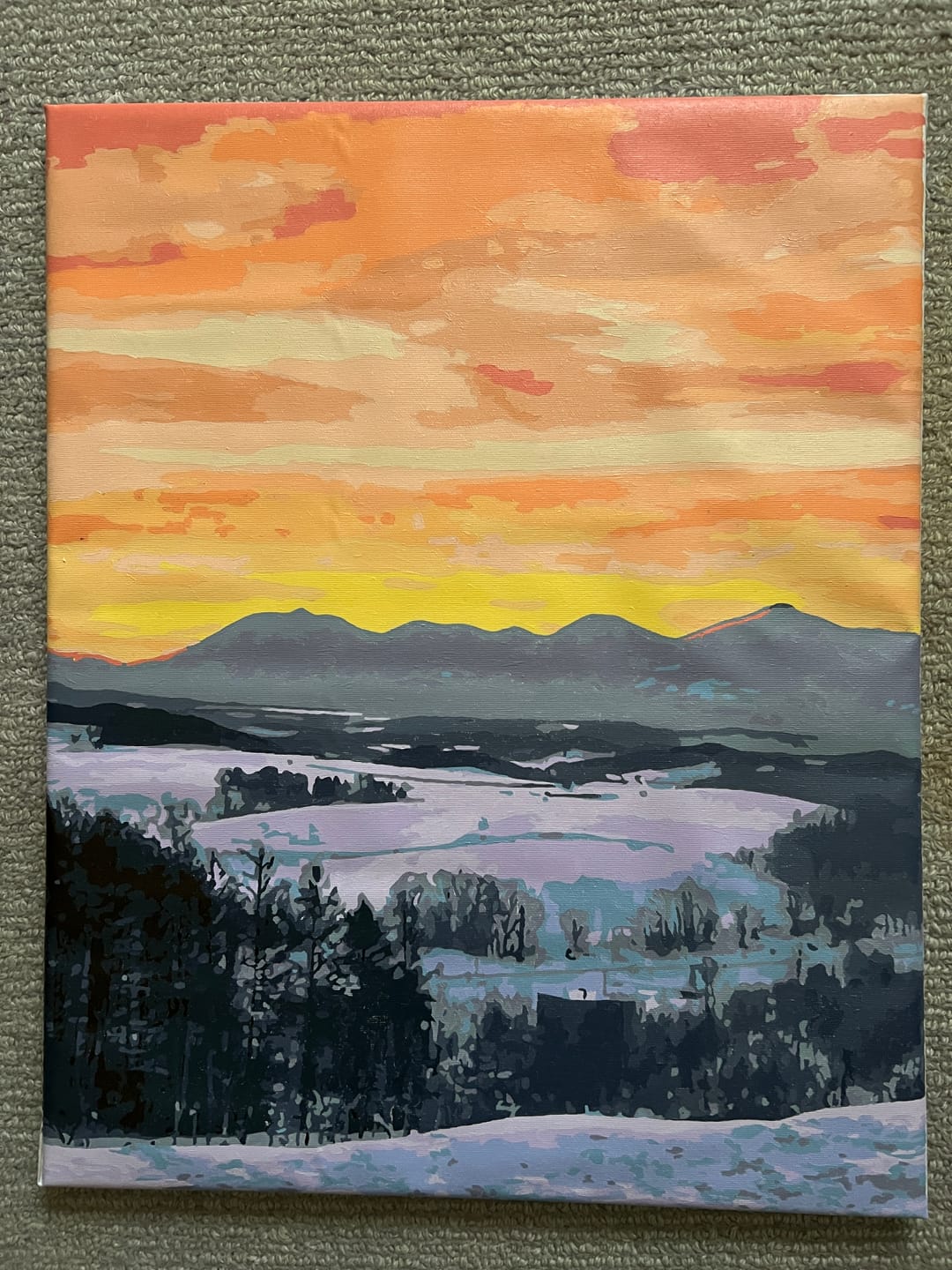 Customer photo review of Custom Paint by Numbers Kit